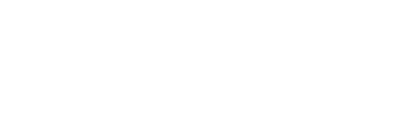 airtran_wht